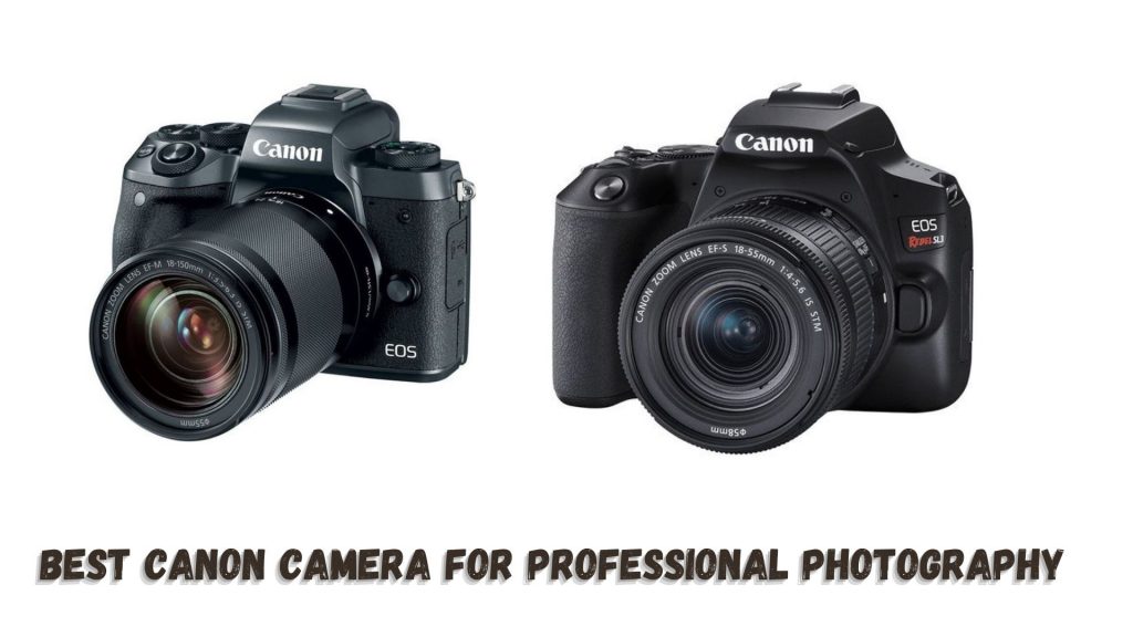 Best Canon Camera for Professional Photography