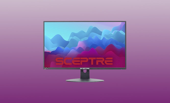 Sceptre 20 Inch Monitor