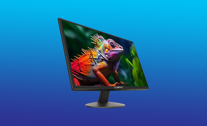 Sceptre LED Monitor