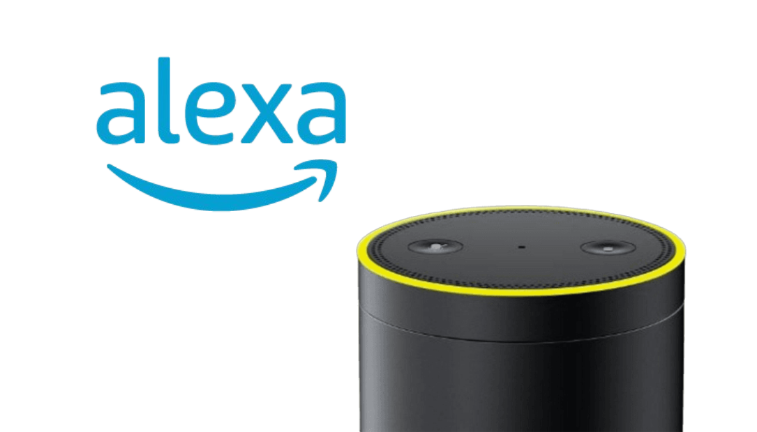 why Alexa is yellow